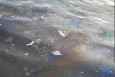 В Геленджике проверяют происхождение нефтяного пятна в море - kuban.mk.ru - Краснодарский край - Геленджик