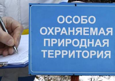 Москвичи собирают подписи против «урбанистического благоустройства» заповедных зон - mskgazeta.ru - Москва