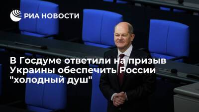 Андрей Мельник - Виктор Водолацкий - Олаф Шольц - Депутат Водолацкий: канцлер ФРГ Шольц не будет слушать посла Украины Мельника о Путине - ria.ru - Москва - Россия - Украина - Киев - Германия