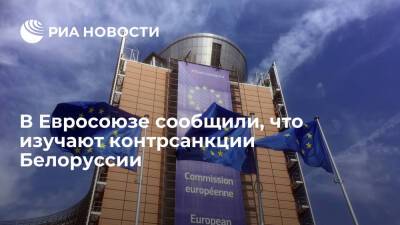 Питер Стано - Представитель Евросоюза Стано назвал ответные санкции Белоруссии непрозрачными - ria.ru - США - Англия - Белоруссия - Канада - Брюссель