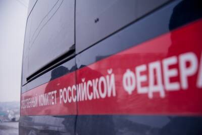 22-летний астраханец пойдет под суд за убийство приятеля - volg.mk.ru - Россия - район Володарский - Скончался