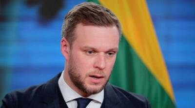 Глава МИД Литвы удивился решению Белоруссии оплатить перевозку удобрений - newzfeed.ru - США - Вашингтон - Белоруссия - Литва - Минск - Брюссель