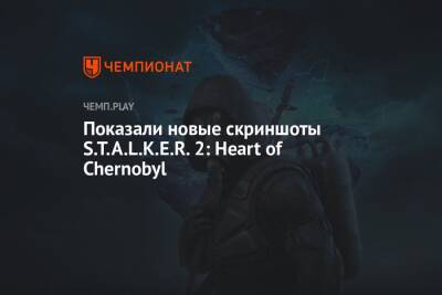 5 новых скриншотов S.T.A.L.K.E.R. 2: Heart of Chernobyl - championat.com