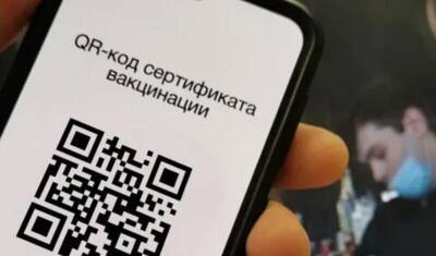 Евгений Ковалев - В Ростове покупатели пытались пройти в ТЦ по QR-кодам бытовой техники и курицы - newizv.ru - Ростовская обл.