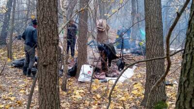 В польском лесу у границы обнаружили тело мигранта - golos-ameriki.ru - Белоруссия - Польша - Нигерия