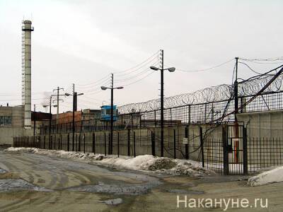 Педофила-рецидивиста, изнасиловавшего и убившего девочку в Нижегородской области, приговорили к 24 годам "особой" зоны - nakanune.ru - Нижегородская обл.
