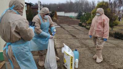 На Луганщине подтвердили вспышку птичьего гриппа - vchaspik.ua - Украина - район Старобельский