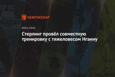 Фрэнсис Нганн - Петр Ян - Стерлинг провёл совместную тренировку с тяжеловесом Нганну - championat.com - Россия