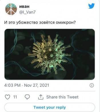 Анна Попова - Врачи рассказали о симптомах при поражении штаммом «Омикрон» - vologda-poisk.ru - Россия - Юар