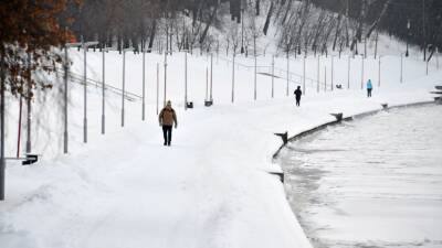 Александр Шувалов - Синоптик Шувалов рассказал, когда ждать ослабления морозов в столичном регионе - russian.rt.com - Москва