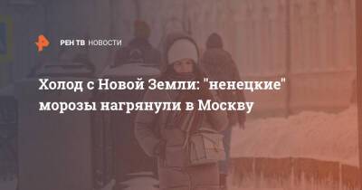 Роман Вильфанд - Холод с Новой Земли: "ненецкие" морозы нагрянули в Москву - ren.tv - Москва - Россия - Московская обл. - Москва