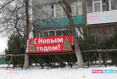 Жители Ростовской области с 15 декабря могут получить бесплатно елку на Новый год - privet-rostov.ru - Ростовская обл. - Экология