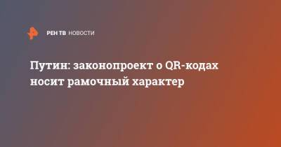 Владимир Путин - Путин: законопроект о QR-кодах носит рамочный характер - ren.tv - Россия