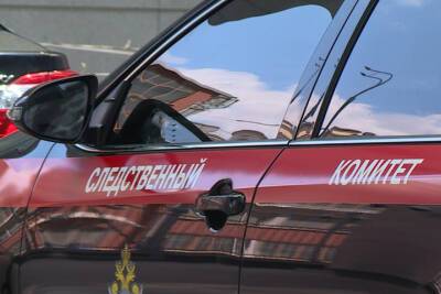 СК заинтересовался делом о возможном развращении детей из школы Московского района - spb.mk.ru - Санкт-Петербург - р-н. Московский