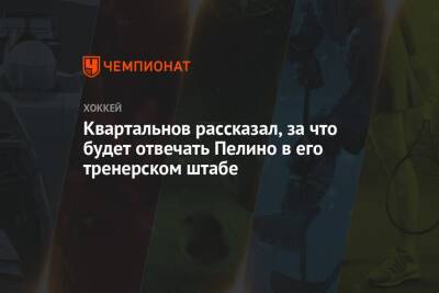 Дмитрий Квартальнов - Квартальнов рассказал, за что будет отвечать Пелино в его тренерском штабе - championat.com