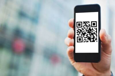 Наталия Башкетова - Может ли Роспотребнадзор отменить выдачу QR-кодов ранее переболевшим COVID-19 петербуржцам - spb.mk.ru - Санкт-Петербург