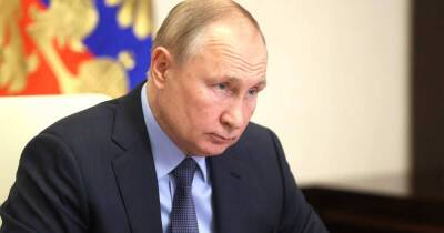 Владимир Путин - Путин высказался о введении наказания за домашнее насилие - ren.tv - Россия