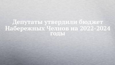 Депутаты утвердили бюджет Набережных Челнов на 2022-2024 годы - chelny-izvest.ru - Набережные Челны