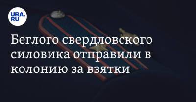Беглого свердловского силовика отправили в колонию за взятки - ura.news - Екатеринбург - Свердловская обл.