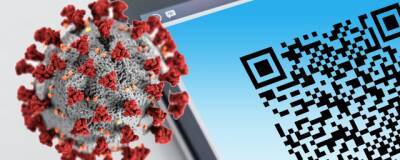 В Орловской области родителей не пустят на новогодние утренники без QR-кода - runews24.ru - Орловская обл.