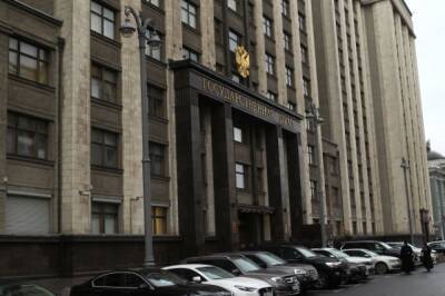 ГД приняла во втором чтении законопроект о региональной публичной власти - aif.ru - Россия