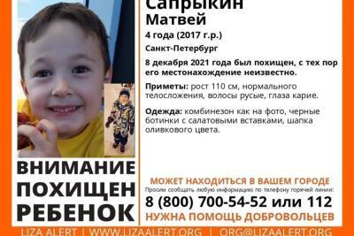 Похищенного 4-летнего мальчика ищут в Псковской области - mk-pskov.ru - Псковская обл.