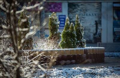 Смоленск в Петровскую эпоху, «Партнер» и монологи о любви. Куда пойти в выходные - rabochy-put.ru - Россия - США - Смоленск - Колумбия
