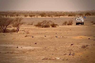 Нападение на конвой ООН: 7 военнослужащих убито, 3 ранено - free-news.su - Мали - Чад