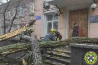 Спасатели показали жуткие последствия ледяного дождя в Киеве - vlasti.net - Киев - Минск - Киев