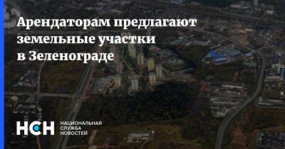 Арендаторам предлагают земельные участки в Зеленограде - nsn.fm - Москва - Зеленоград