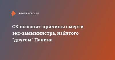 Александр Бастрыкин - СК выяснит причины смерти экс-замминистра, избитого "другом" Панина - ren.tv - Россия