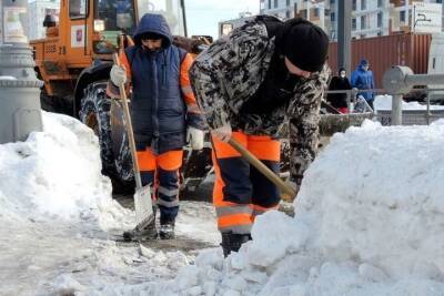 Роман Вильфанд - В Москве прогнозируют самые сильные холода на 10-11 декабря - mk.ru - Москва - Россия - Московская обл.