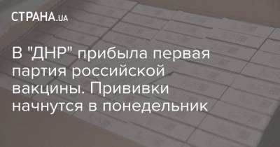 Андрей Руденко - В "ДНР" прибыла первая партия российской вакцины. Прививки начнутся в понедельник - strana.ua - ДНР - Донецк - Донбасс