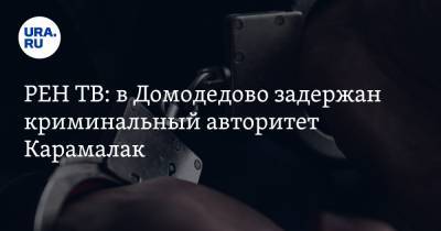 РЕН ТВ: в Домодедово задержан криминальный авторитет Карамалак - ura.news - Москва - Молдавия