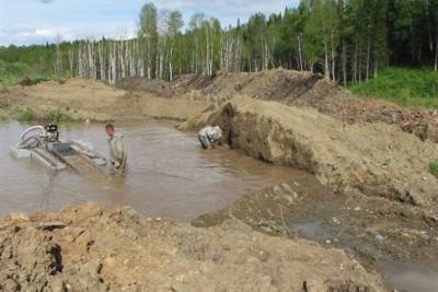 WWF предложил запретить добычу золота на нетронутых реках - chita.ru