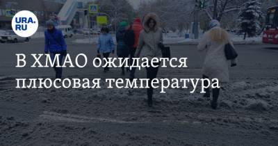В ХМАО ожидается плюсовая температура - ura.news - Ханты-Мансийск - Сургут - Югра