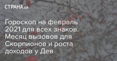 Гороскоп на февраль 2021 для всех знаков. Месяц вызовов для Скорпионов и роста доходов у Дев - strana.ua