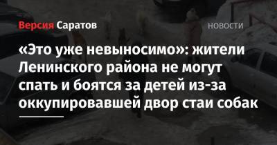 Юлий Иванов - «Это уже невыносимо»: жители Ленинского района не могут спать и боятся за детей из-за оккупировавшей двор стаи собак - nversia.ru - Саратов - район Ленинский