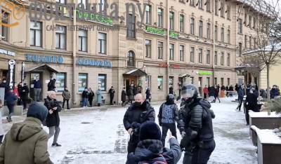 Петербургская полиция назвала обоснованными действия силовика, доставшего на митинге табельное оружие - og.ru - Ленинградская обл. - Санкт-Петербург