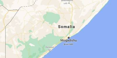Террористическая атака на отель в Могадишо: 9 убитых - detaly.co.il - Сомали - Могадишо