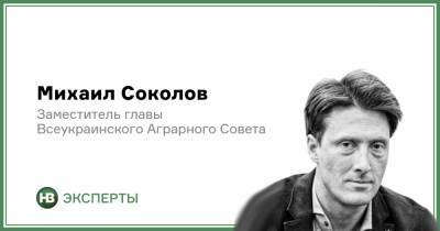 Михаил Соколов - Пенсии в Украине: катастрофа неизбежна? - nv.ua