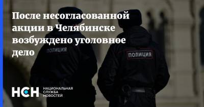 После несогласованной акции в Челябинске возбуждено уголовное дело - nsn.fm - Челябинск