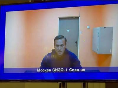 Алексей Навальный - Российские ученые, работающие в разных странах, требуют прекратить преследование Навального - rosbalt.ru
