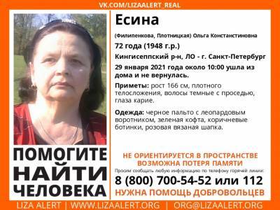 В Кингисеппском районе без вести пропала 72-летняя женщина с возможной потерей памяти - ivbg.ru - Петербург - Ленобласть