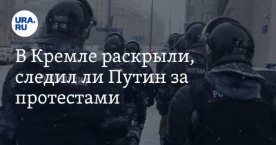 Владимир Путин - В Кремле раскрыли, следил ли Путин за протестами - ura.news - Москва