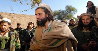 В Афганистане убит лидер «Армии Ислама» Мангал Багх - dialog.tj - Пакистан - Afghanistan - провинция Нангархар
