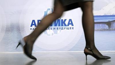 Михаил Мишустин - На инвестиционные проекты в Арктике выделят более 214 млрд рублей - iz.ru - Санкт-Петербург