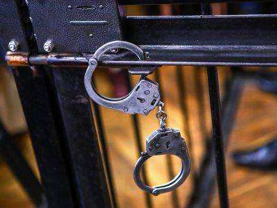 Павел Чиков - "Агора" сообщает о возбуждении 40 уголовных дел по следам акции 31 января - kasparov.ru - Москва - Санкт-Петербург - Казань