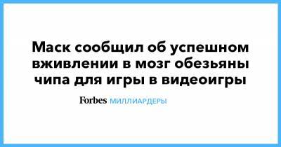 Илон Маск - Маск сообщил об успешном вживлении в мозг обезьяны чипа для игры в видеоигры - forbes.ru