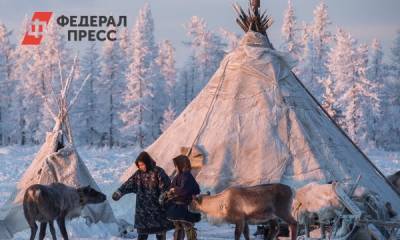 На Ямале планируют выпускать концентрированный олений бульон - fedpress.ru - Москва - Санкт-Петербург - Тюмень
